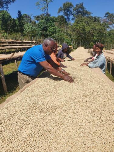 Berhanu Specialty Coffee Gallery